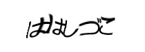 Authentication image