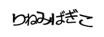 Authentication image